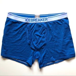 XL Icebreaker Merino Wool Boxer Briefs